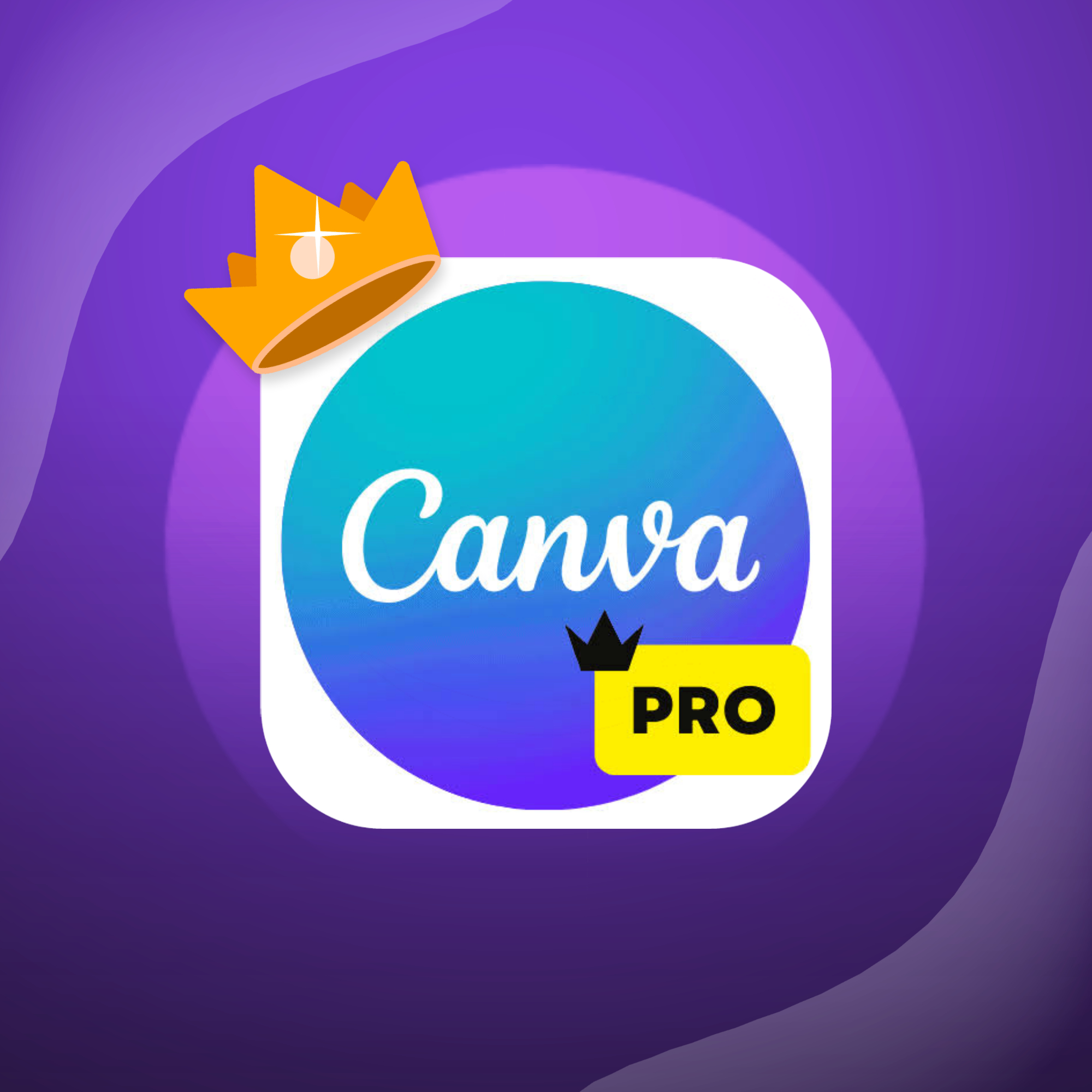 CANVA PRO